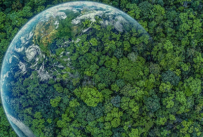 Wind Data Portal - Climate Change Analysis NEMO beacon